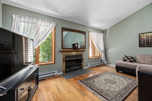 Salon - 14 Rue Kilteevan, Hudson, QC - Indoor Photo Showing Living Room With Fireplace