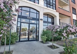Entry - 