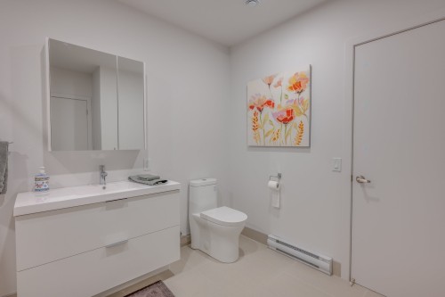 Salle de bains - 8-120 Rue Du Cantouque, Mont-Tremblant, QC - Indoor Photo Showing Bathroom