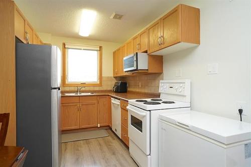 410-35 Valhalla Dr, Winnipeg, MB - Indoor Photo Showing Kitchen With Double Sink