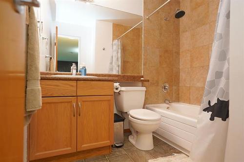 410-35 Valhalla Dr, Winnipeg, MB - Indoor Photo Showing Bathroom
