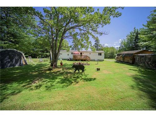 9 Maple Leaf Dr, Lincoln, NB 