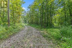 PT LT 4 CONCESSION ROAD 8 West Grey, ON N0C 1H0