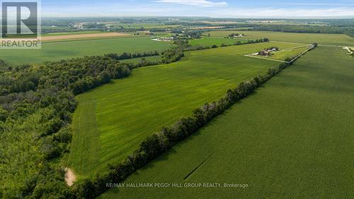6331 26 Highway, Clearview, ON - Outdoor With View