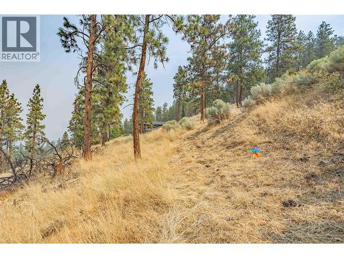 Follow the pin wheel trail... - 2393 Arthur Court, Kelowna, BC 