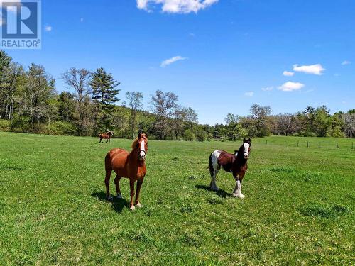 4566 Harwood Road, Hamilton Township, ON - Outdoor