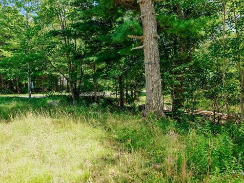 75 Annapolis Road, Shelburne, NS 