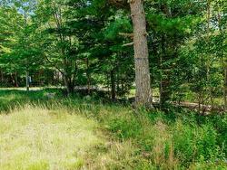 75 Annapolis Road Shelburne, NS B0T 1W0