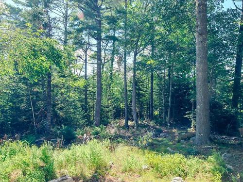 75 Annapolis Road, Shelburne, NS 