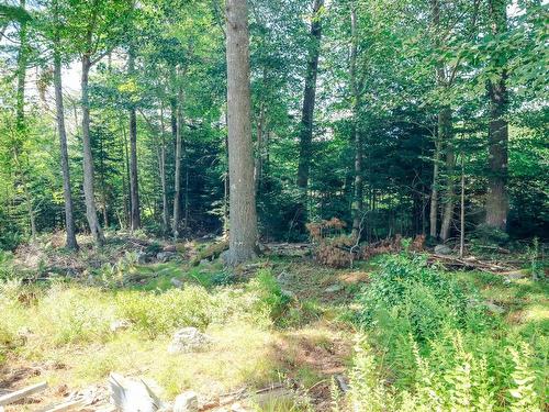 75 Annapolis Road, Shelburne, NS 