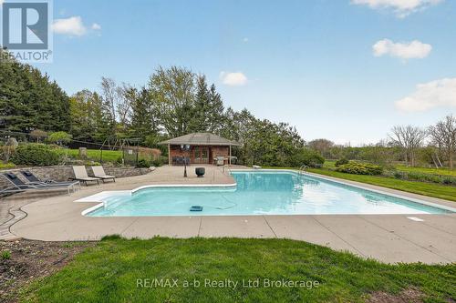 403745 Union Road, Ingersoll (Ingersoll - South), ON - Outdoor With In Ground Pool With Backyard