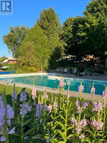 403745 Union Road, Ingersoll (Ingersoll - South), ON - Outdoor With In Ground Pool With Backyard
