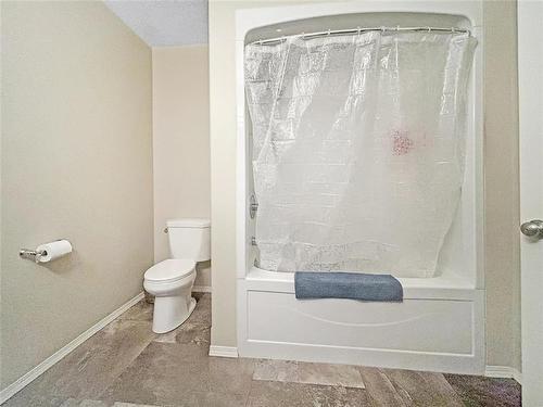 155059 Pth 16 Highway, Foxwarren, MB - Indoor Photo Showing Bathroom