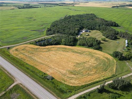 155059 Pth 16 Highway, Foxwarren, MB - Outdoor With View