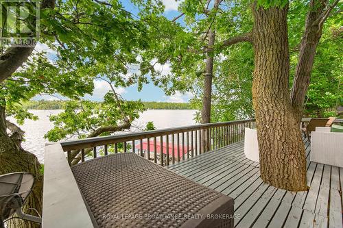 1403B Everett Lane, Frontenac (Frontenac South), ON - Outdoor With Deck Patio Veranda
