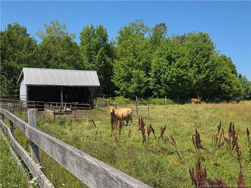 29 Craignish Lane, Bayside, NB 