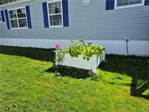 53 Jacob St, Fredericton, NB 