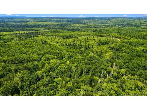 Lot & Camp Forest Motor Rd, Sormany, NB 