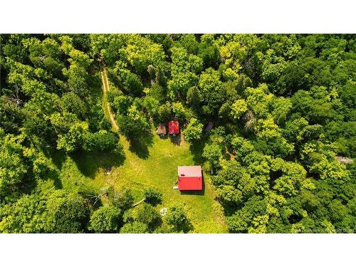 Lot & Camp Forest Motor Rd, Sormany, NB 