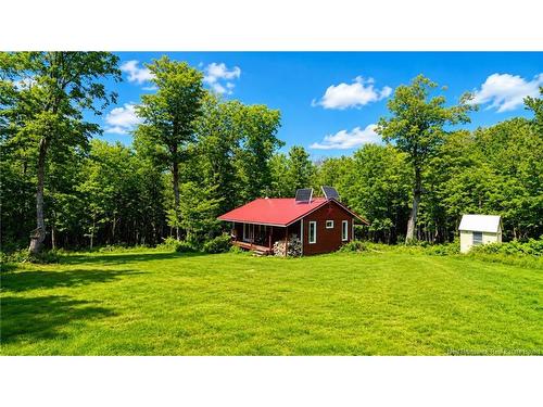 Lot & Camp Forest Motor Rd, Sormany, NB 