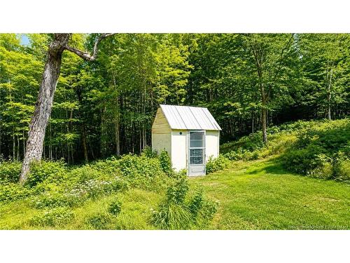 Lot & Camp Forest Motor Rd, Sormany, NB 
