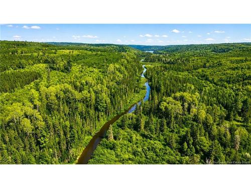 Lot & Camp Forest Motor Rd, Sormany, NB 