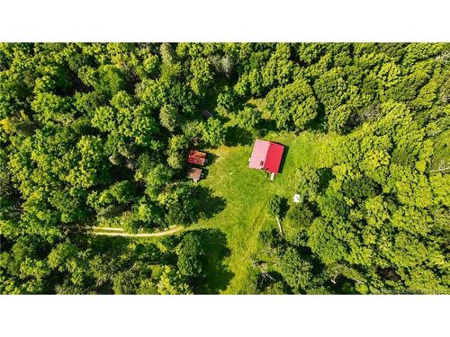 Lot & Camp Forest Motor Rd, Sormany, NB 