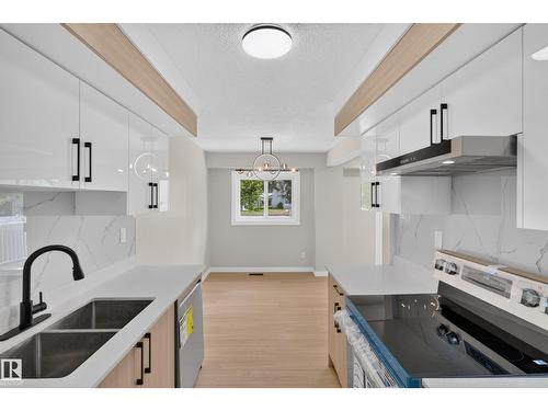 175 Centennial Ct Nw, Edmonton, AB - Indoor Photo Showing Kitchen With Double Sink With Upgraded Kitchen