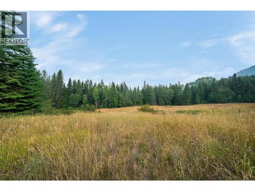 314 Webster Road, Fruitvale, BC - Outdoor With View