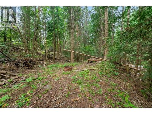 314 Webster Road, Fruitvale, BC - Outdoor