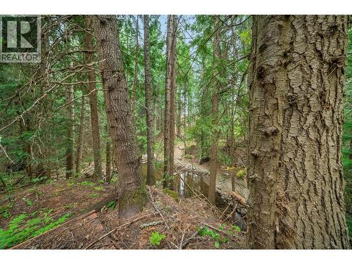 314 Webster Road, Fruitvale, BC - Outdoor With View