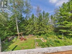 Private Backyard - 