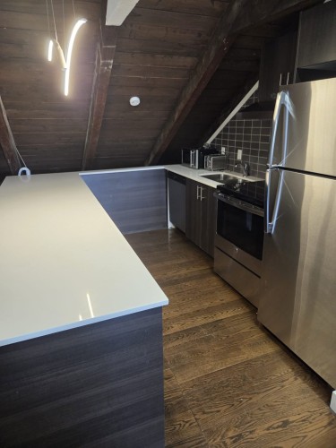 Kitchen - 2-222 Boul. St-Laurent, Montréal (Ville-Marie), QC - Indoor Photo Showing Kitchen