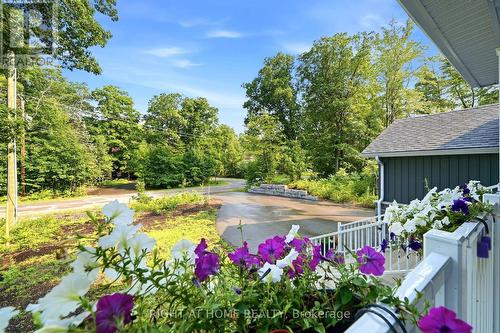 48 Nicole Boulevard, Tiny, ON - Outdoor