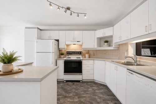 Cuisine - 101-59 Rue René-Émard, L'Île-Perrot, QC - Indoor Photo Showing Kitchen With Double Sink