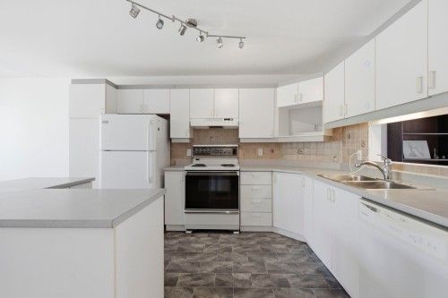 Cuisine - 101-59 Rue René-Émard, L'Île-Perrot, QC - Indoor Photo Showing Kitchen With Double Sink