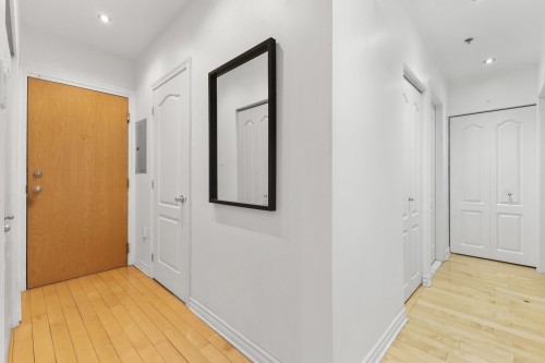 Mud Room - 301-1455 Rue St-Jacques, Montréal (Ville-Marie), QC - Indoor Photo Showing Other Room