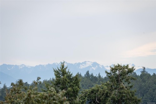253/255 Heddle Ave, View Royal, BC - Outdoor With View