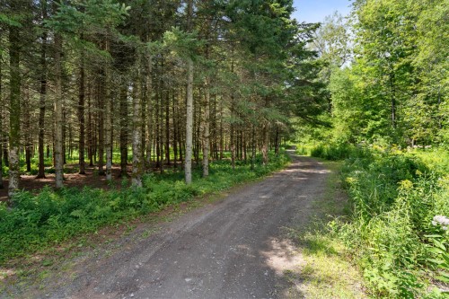 Autre - 320 Ch. D'Iron Hill, Lac-Brome, QC - Outdoor