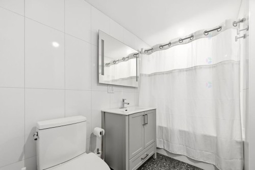 Bathroom - 389 Rue Gilford, Montréal (Le Plateau-Mont-Royal), QC - Indoor Photo Showing Bathroom