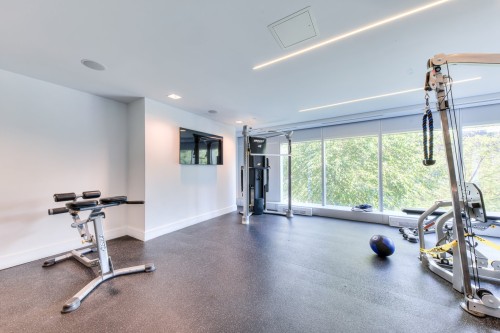 Salle d'exercice - 1402-1400 Boul. René-Lévesque O., Montréal (Ville-Marie), QC - Indoor Photo Showing Gym Room