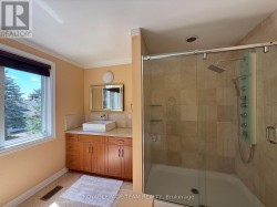 Master en-suite with standing shower and Tub - 