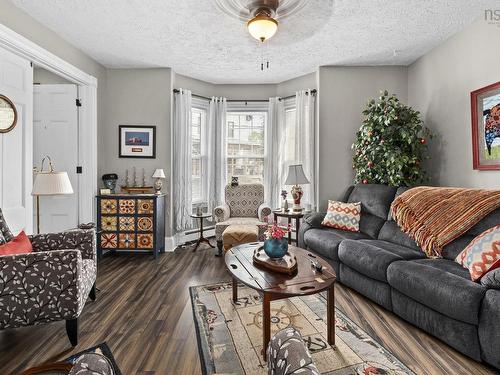 344 Gray Street, Windsor, NS - Indoor Photo Showing Living Room