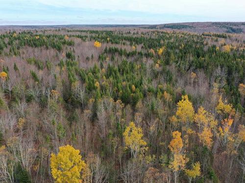 Lot 114 Acres+- Macmillan Road, Willowdale, NS 