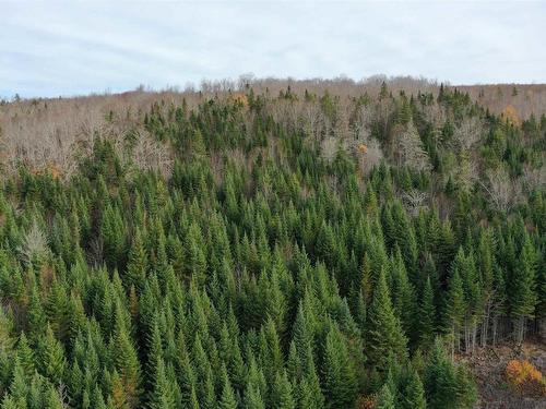 Lot 114 Acres+- Macmillan Road, Willowdale, NS 
