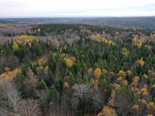 Lot 114 Acres+- Macmillan Road, Willowdale, NS 