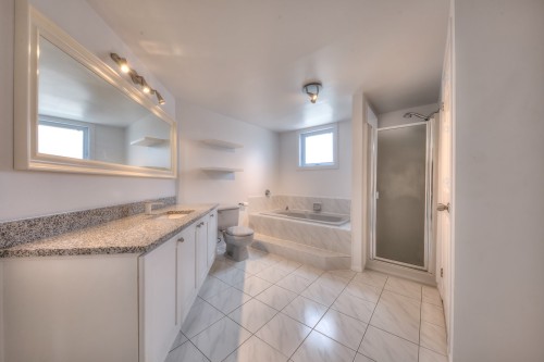 Salle de bains - 201-2050 Rue De Magenta, Laval (Vimont), QC - Indoor Photo Showing Bathroom