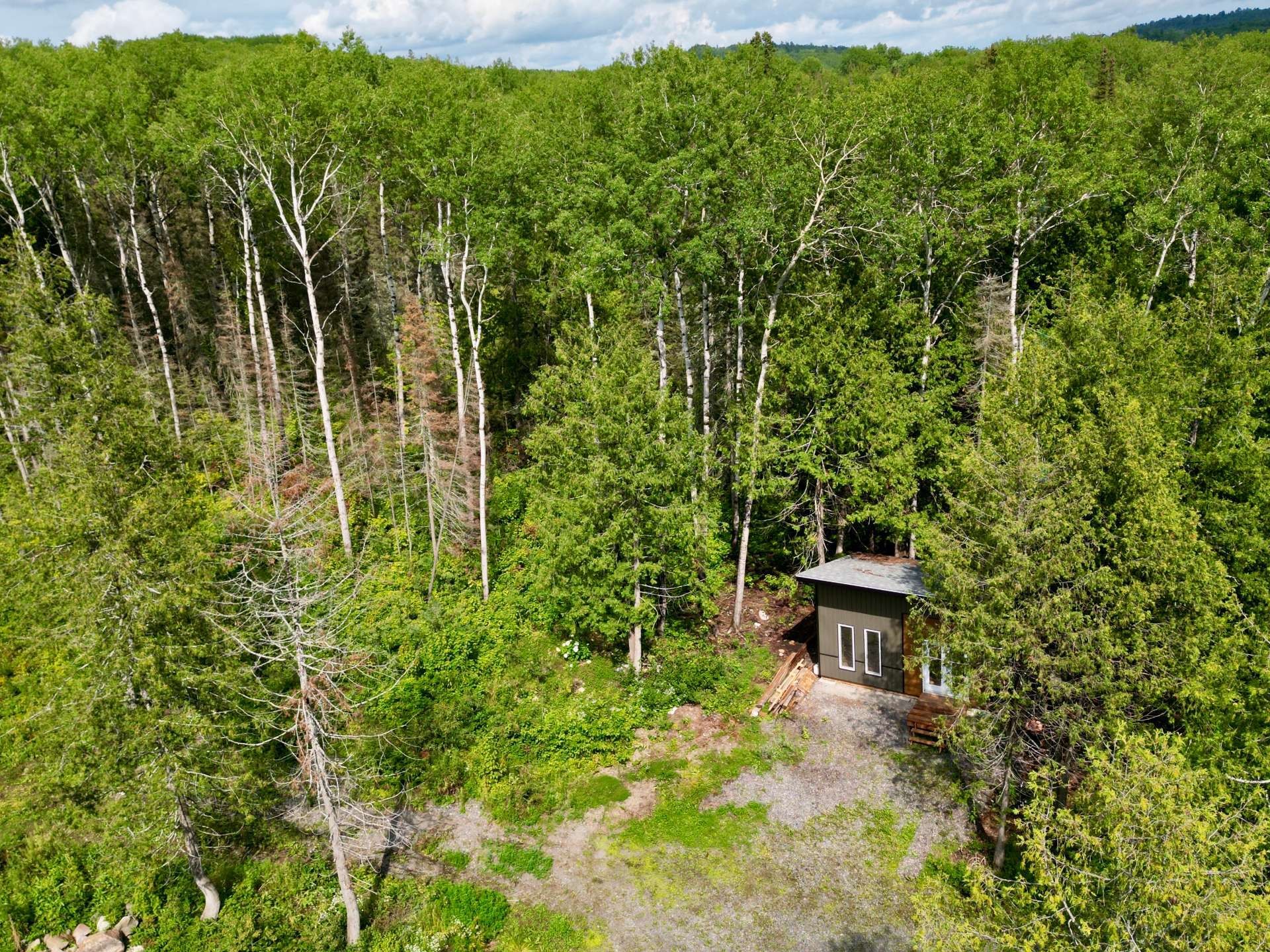 806 Ch Du Royaume Des Cedres — photo 1