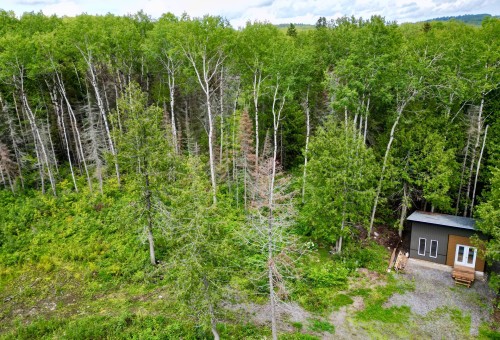 Lot - 806 Ch. Du Royaume-Des-Cèdres, Saint-Bruno-De-Guigues, QC 