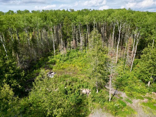 806 Ch Du Royaume Des Cedres — photo 3